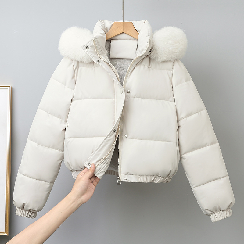 سترات شتوية قصيرة للنساء ملابس - مراجعة Wool Coat Peacoat وسعره